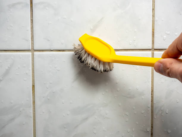 Best Home Mold Removal  in Fallston, MD