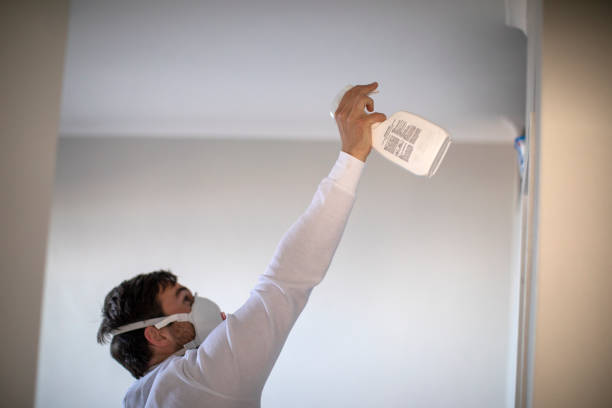 Best Mold Removal Process  in Fallston, MD