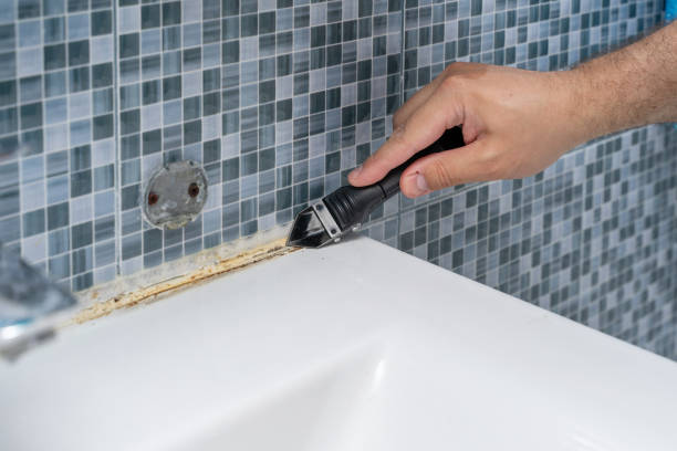 Best Same-Day Mold Removal  in Fallston, MD