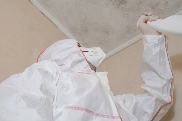 Mold Removal and Inspection in Fallston, MD