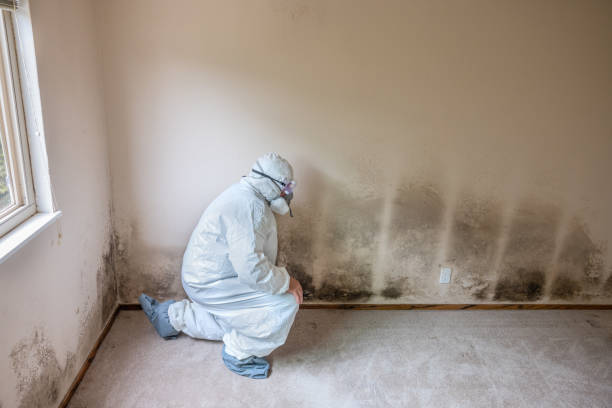 Best Crawl Space Mold Removal  in Fallston, MD